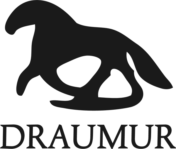 Draumur logo