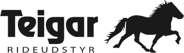 Teigar logo