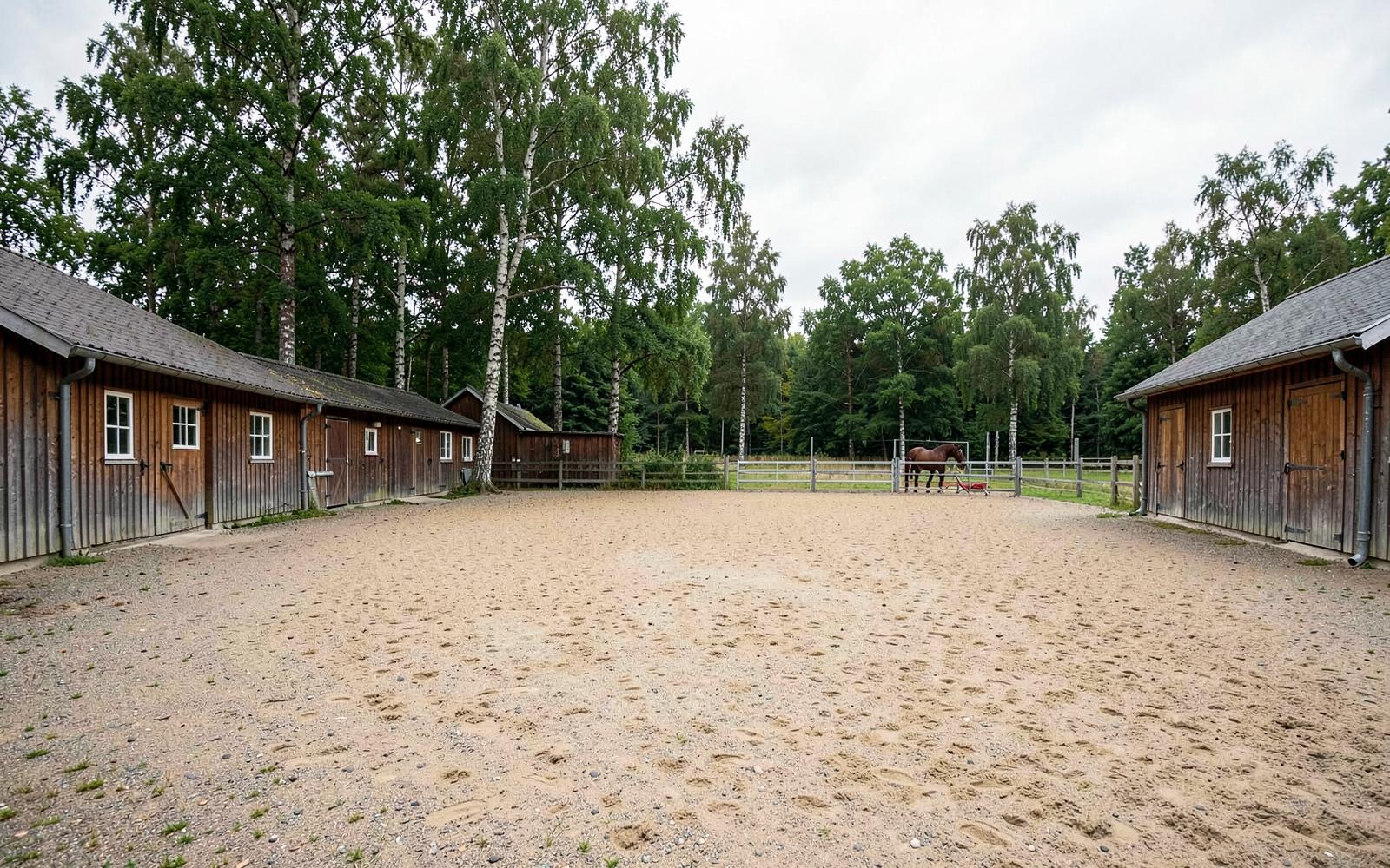 Staldbygninger og ridebane omgivet af træer på Egemosegård